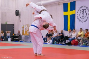 20160508 113 - Per Ottosson